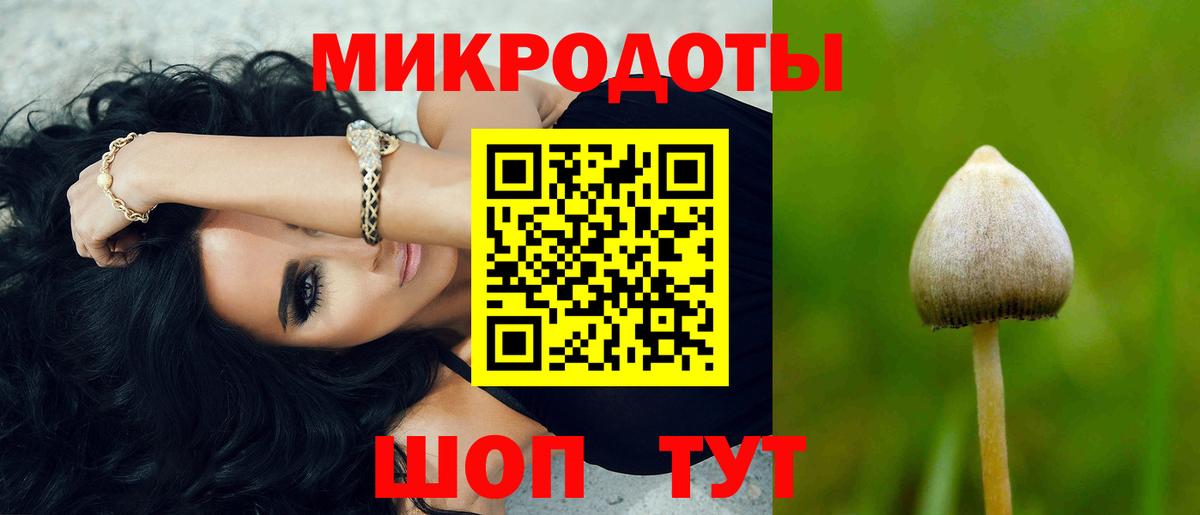 Псилоцибиновые грибы Magic Shrooms  Вход с VPN  Ессентуки  Псилоцибиновые грибы GOLDEN TEACHER 